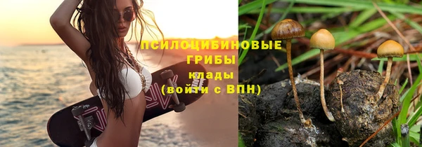 jwh Богородск