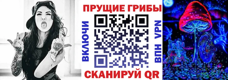 Галлюциногенные грибы Psilocybe  Кировск 