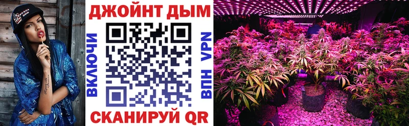 Каннабис OG Kush  купить   маркетплейс наркотические препараты  Кировск 